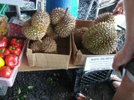 Hilo Durian